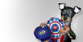 Dog show listing